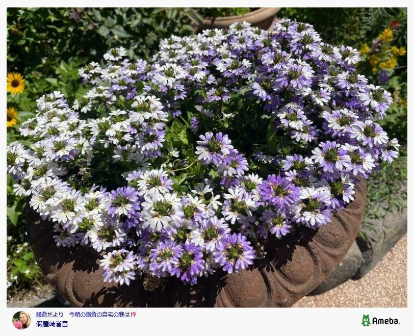 出所：假屋崎省吾のAmebaブログ 参照日：2025年7月10日