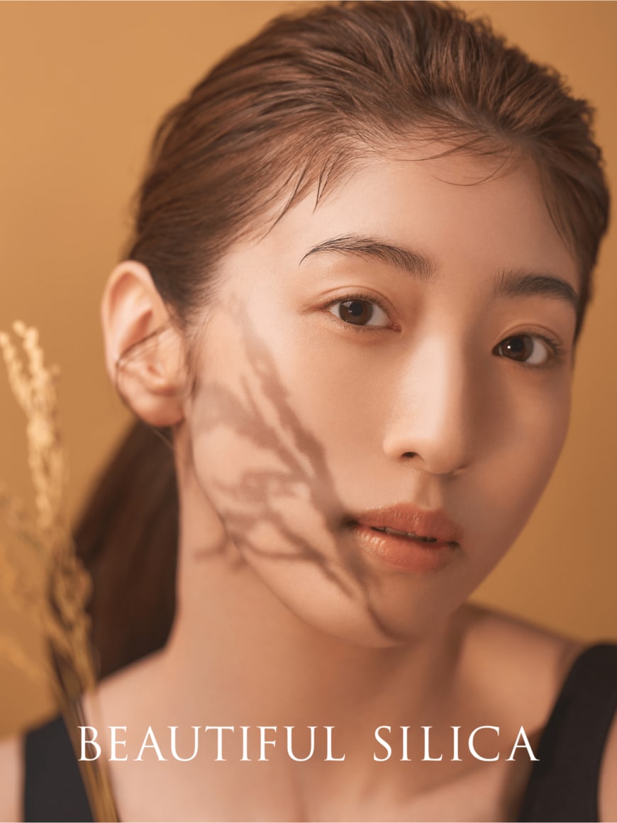 下部／出所：F.I.S株式会社提供