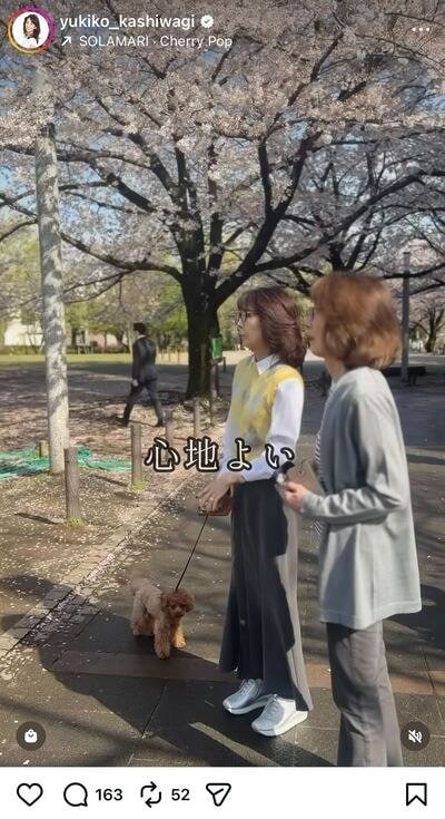 出所：柏木由紀子のInstagram（@yukiko_kashiwagi）参照日：2026年4月9日