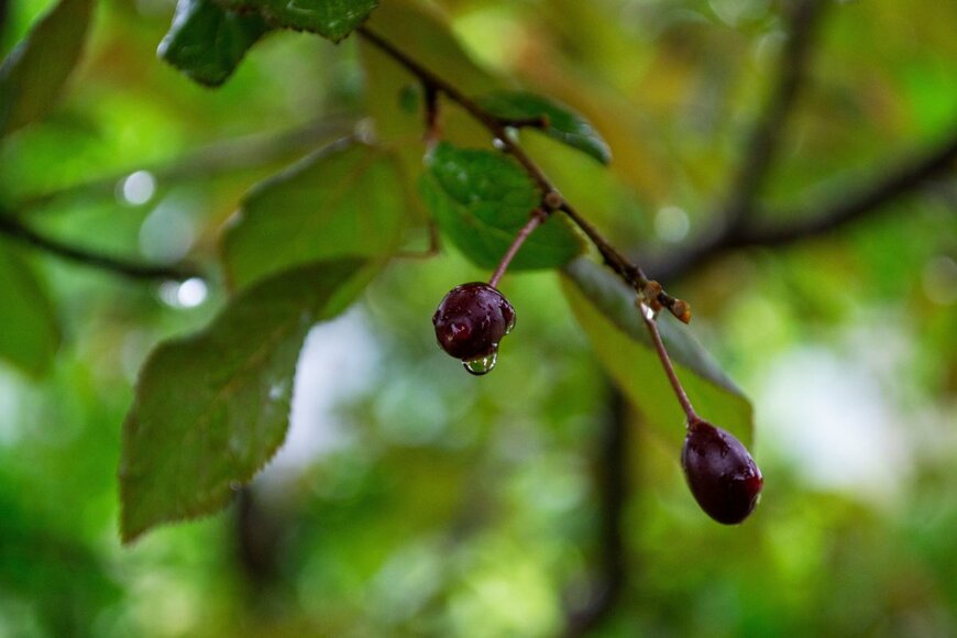 Evil Spell/shutterstock.com