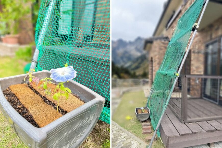 支柱に届くまでは時間がかかりそうです