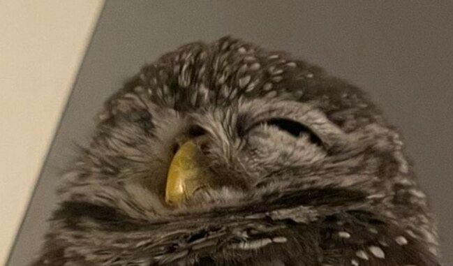 投稿動画のワンシーン