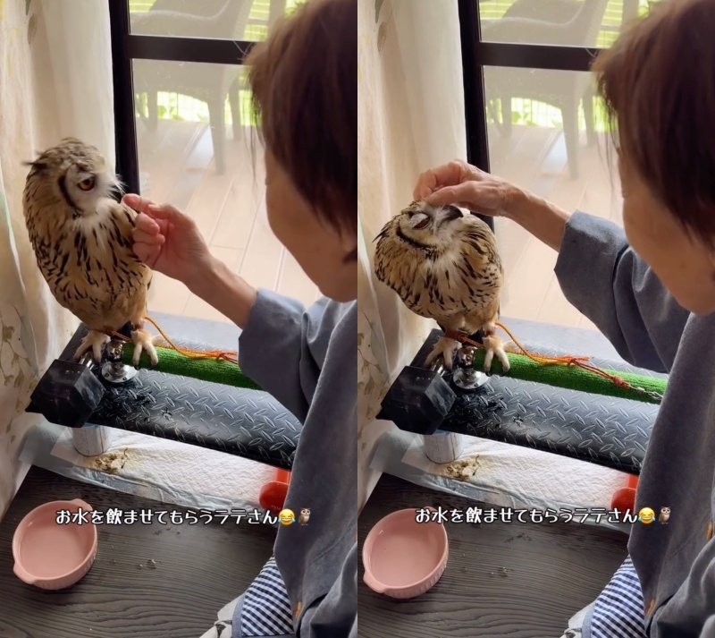 投稿動画のワンシーン