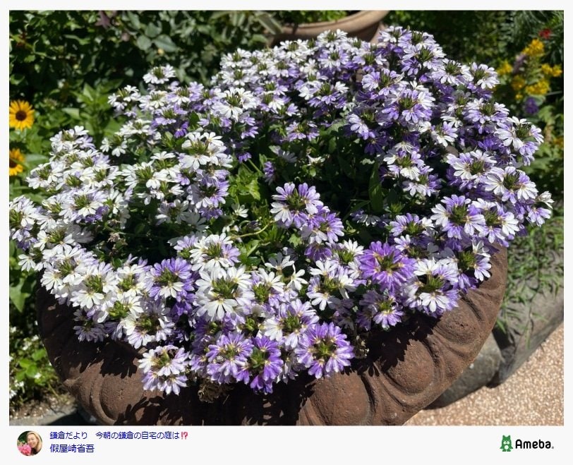 假屋崎省吾のAmebaブログ投稿