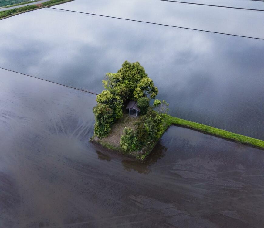 田園風景にある神社