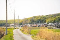 飼い主が愛犬2匹と一緒に散歩をした結果…「これはあるある」「マンガみたい」と共感の声