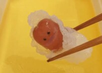 【黒酢酢豚弁当】「かわいい赤ちゃん？」ライスペーパーを使った斬新なおかずのお弁当「アイデアに反響続々」