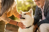 【厚生年金と国民年金の月額一覧表】60歳代・70歳代・80歳代・90歳以上「みんなの平均」っていくら？