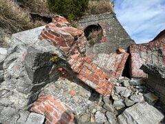 かつて東海道本線だった場所の「現在の姿」　自然にのみ込まれた風景に「これはすごい」「迫力がありますね」