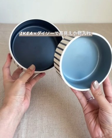変身前のIKEAのペットボウル