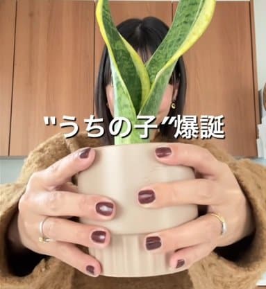 投稿の画像