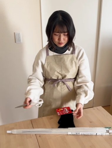 投稿動画のワンシーン