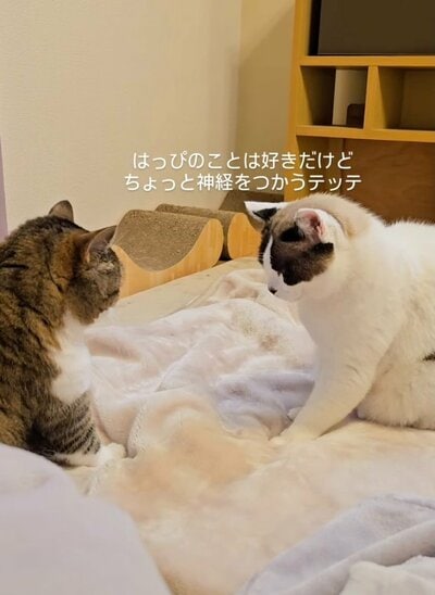 出所：@@hukuhukuhappi