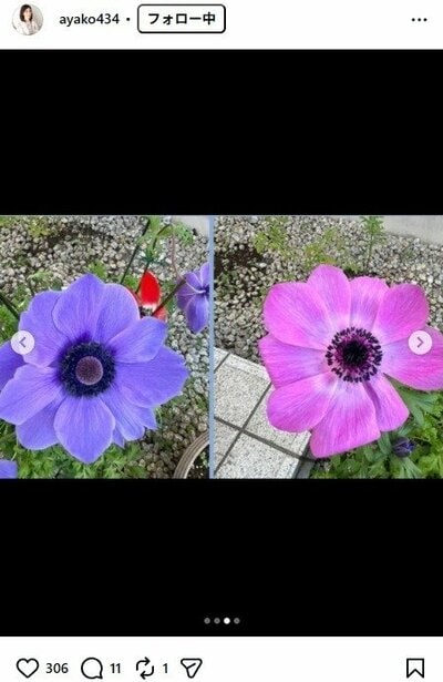 小林綾子のInstagram投稿