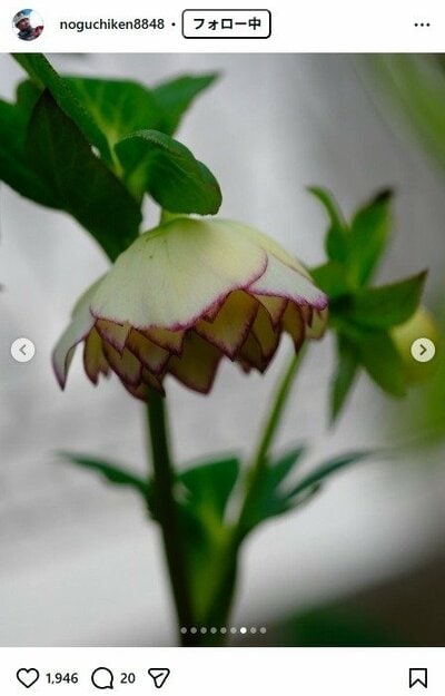 野口健のInstagram投稿