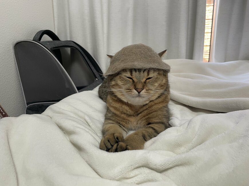 出所：@MiniraDiary