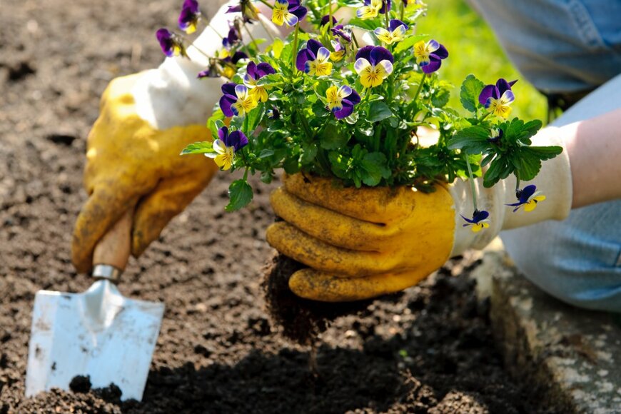 Alexander Raths/istockphoto.com