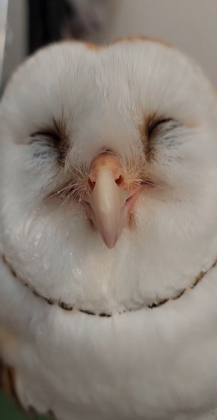 出所：@miki4wan108