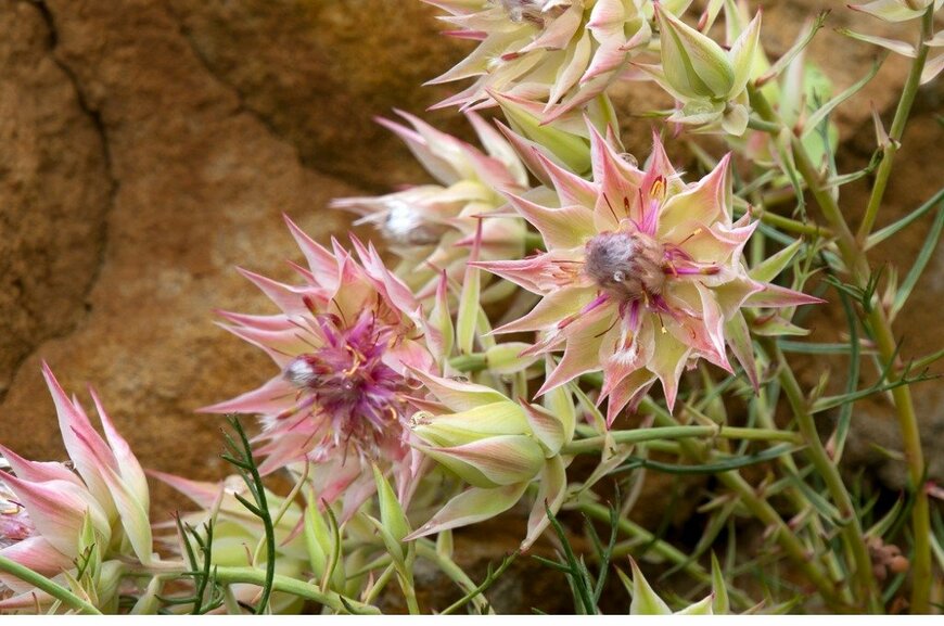 Karin de Mamiel/istockphoto.com