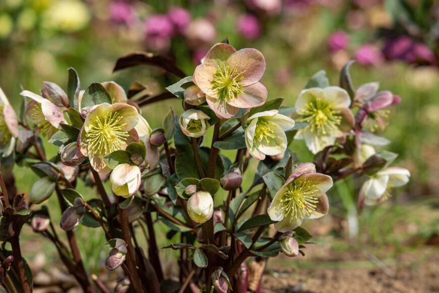 Billy_Fam/istockphoto.com