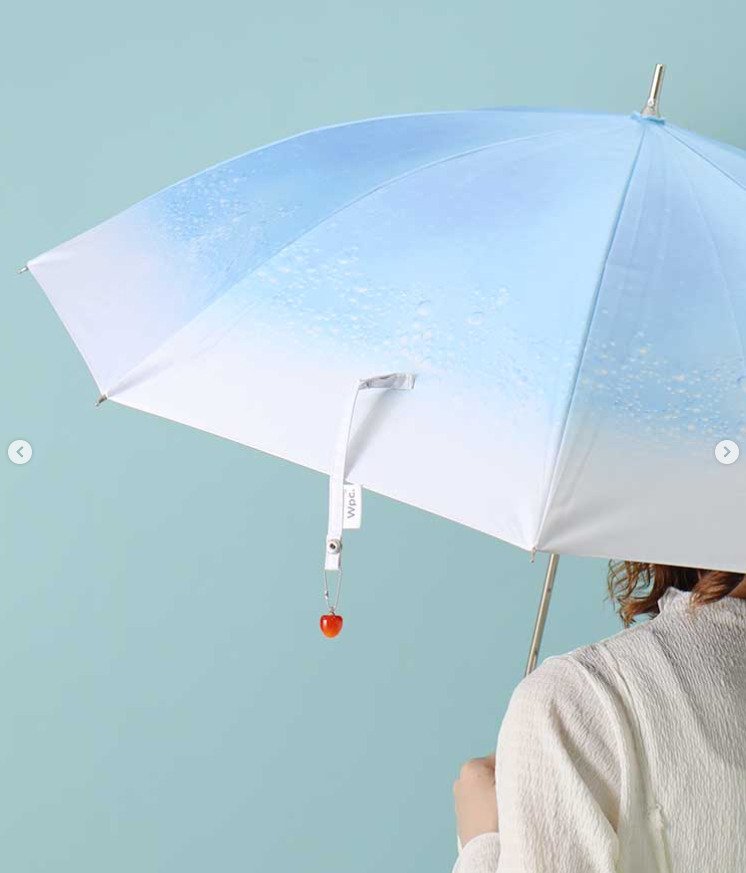 出所：ブルーブルーエ公式Instagram