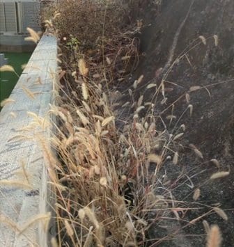 出所：@kusakari.zamurai