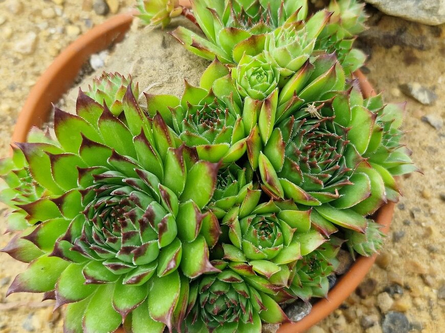 Joe Kuis/shutterstock.com