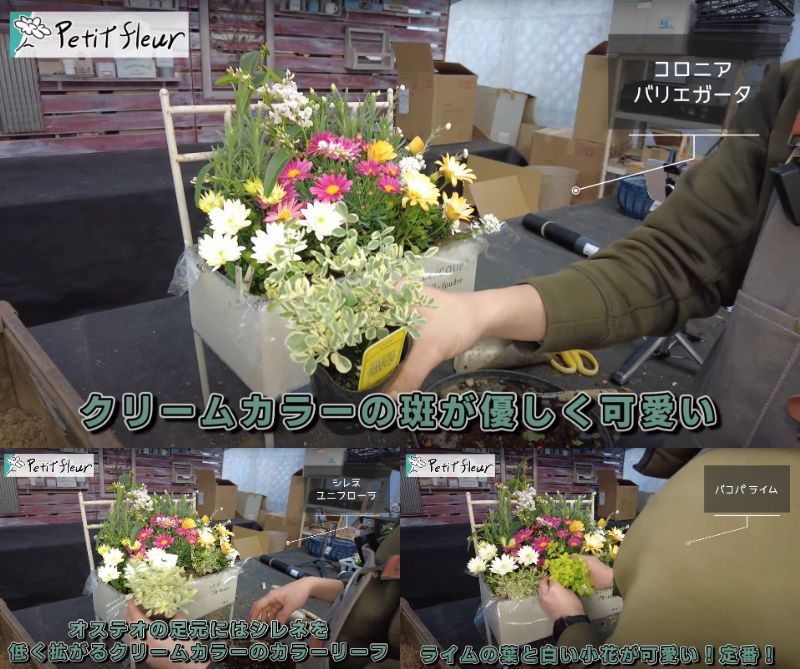 出所：@petit_fleur