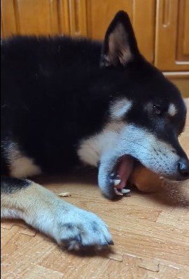 出所：@BLshiba_tensuke