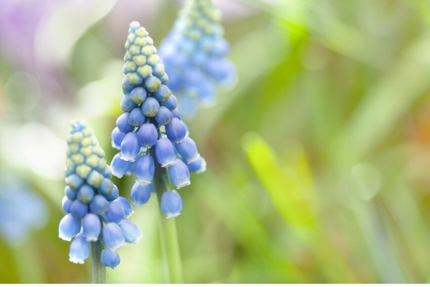 Besjunior/istockphoto.com