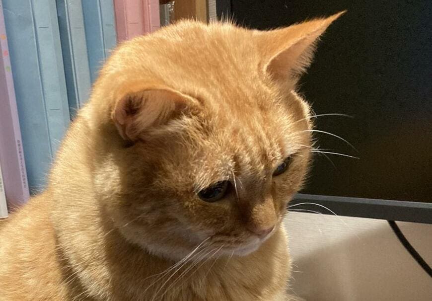 出所：@kagisuzu0531