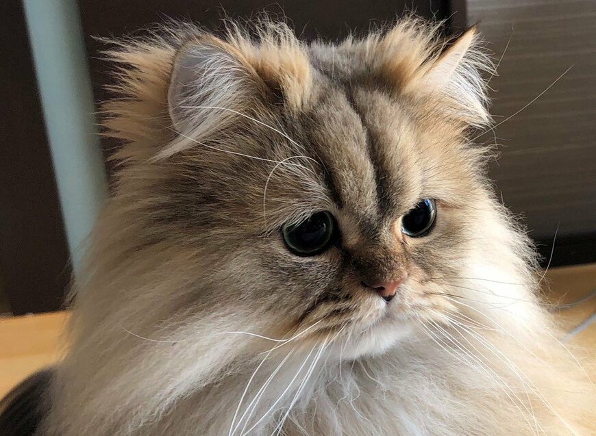 出所：@UphQepCv8J