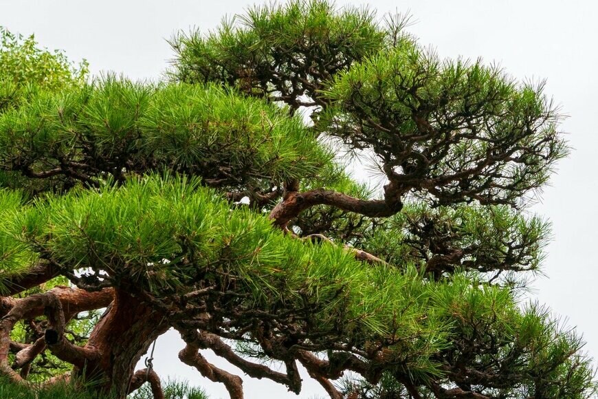 YUYA KIKUCHI/istockphoto.com