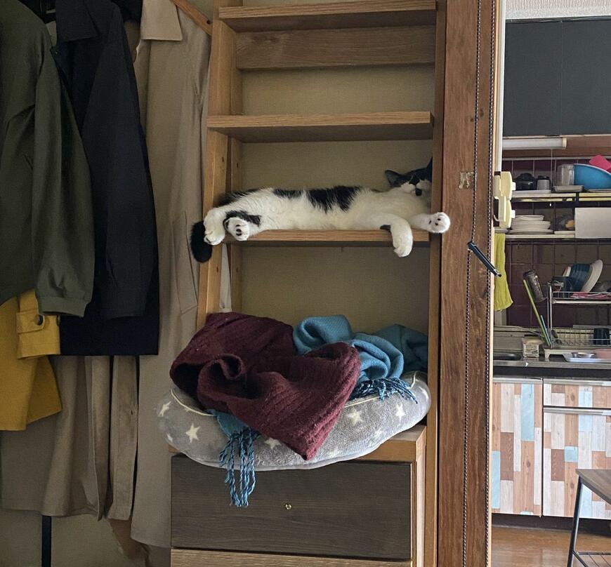 出所：@00shitemita