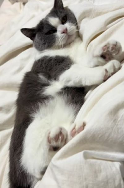 出所：@creo101creo