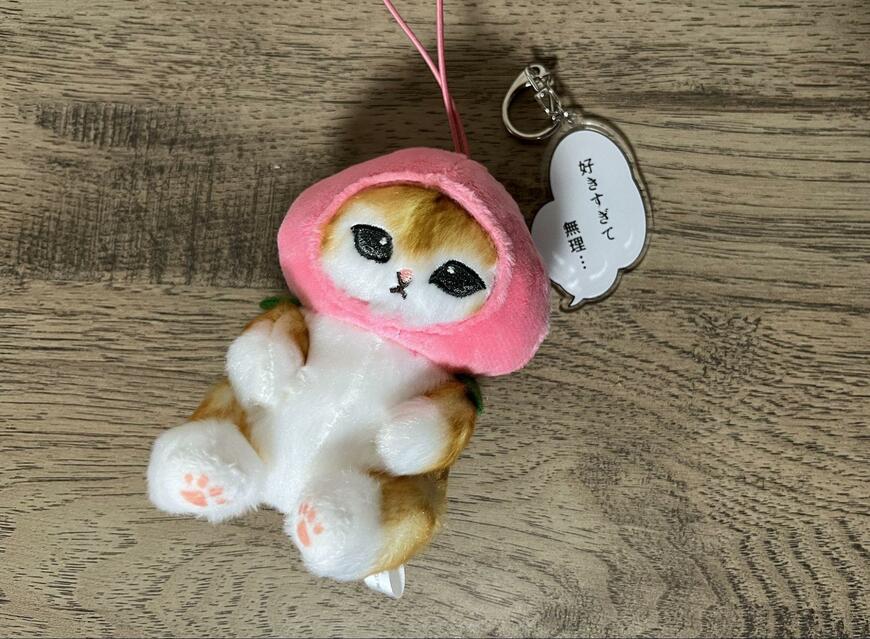 筆者撮影（キャンドゥ、アクリルキーホルダー　ひとりごと）