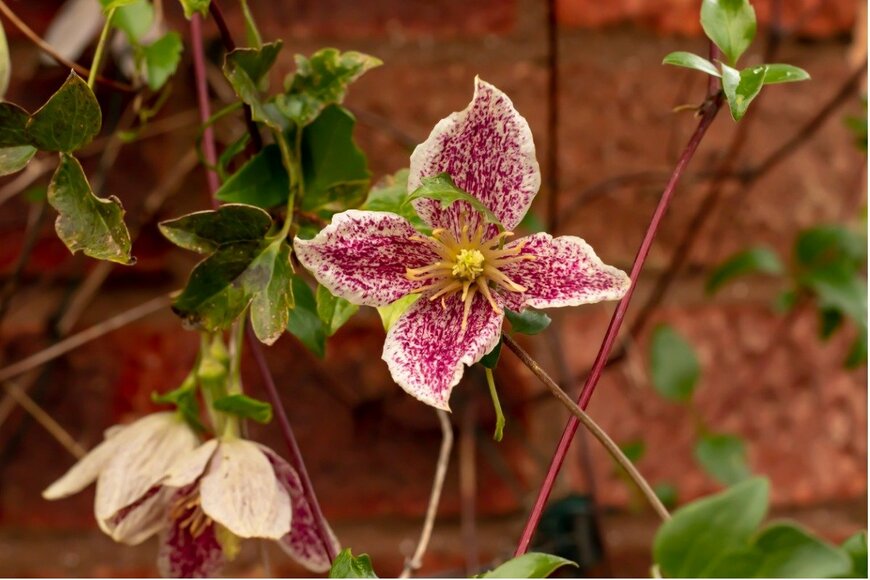 David Hansom/istockphoto.com