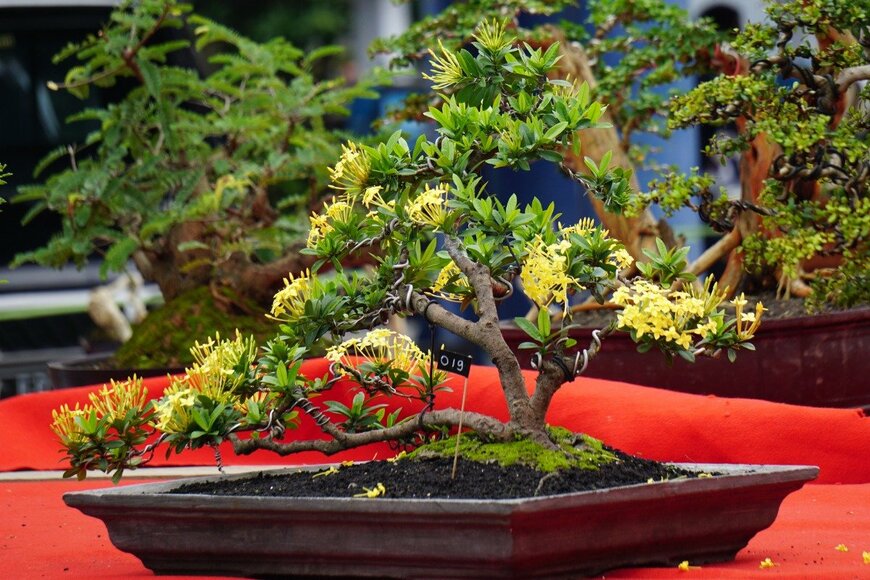 Mangkelin/istockphoto.com