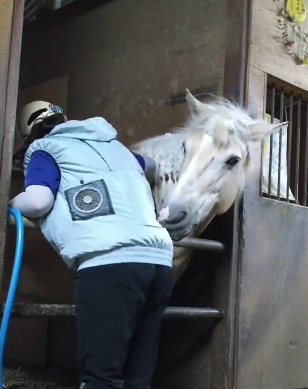 出所：@HorseSpace2