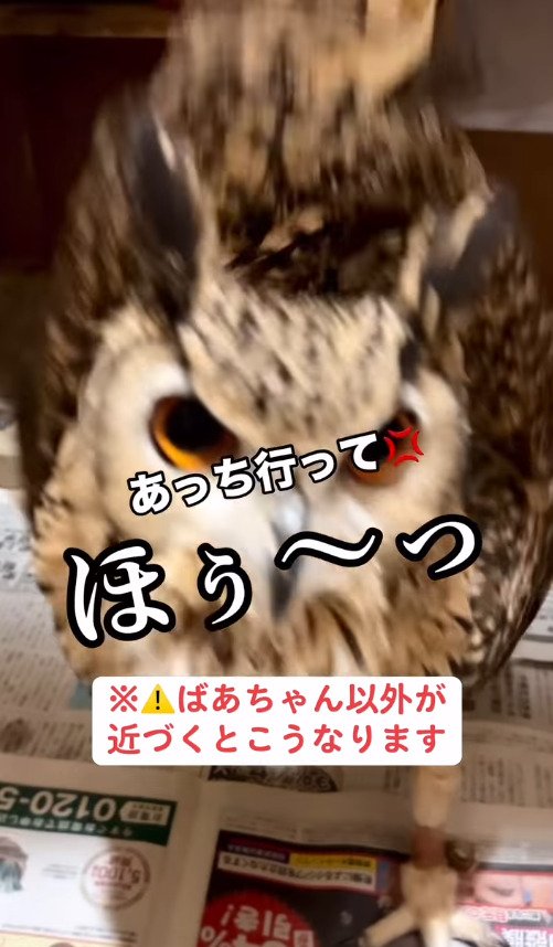 出所：@ba_chantolatte