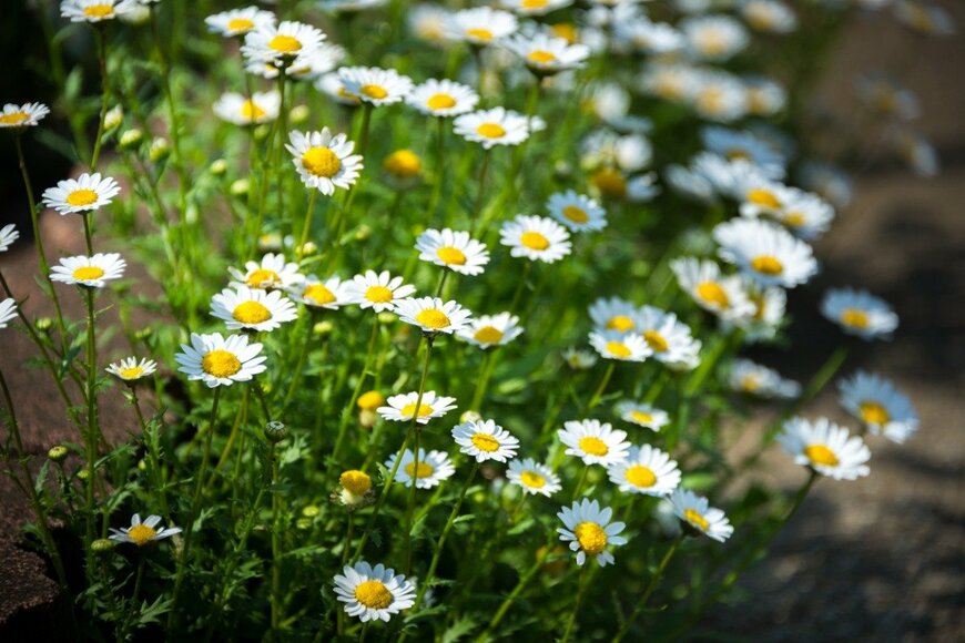 Kazzpix/istockphoto.com