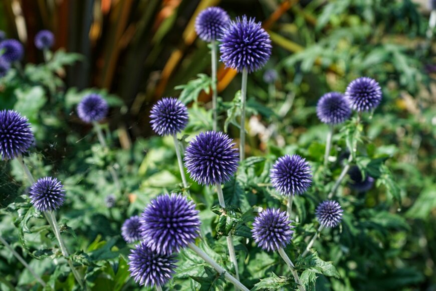 Jozef Chlebinski/shutterstock.com