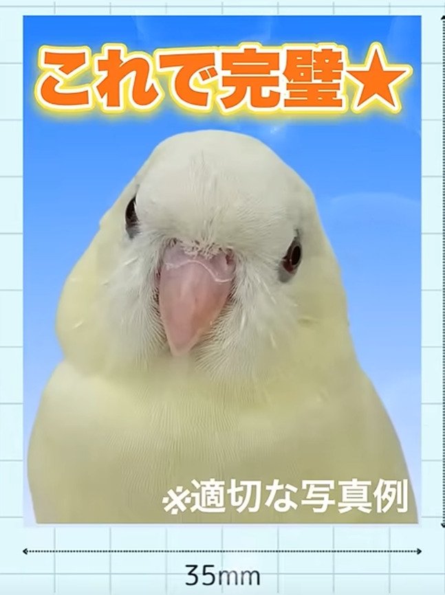 出所：@anz_omomiri