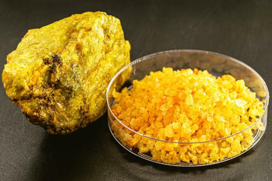 RHJPhtotos/shutterstock.com