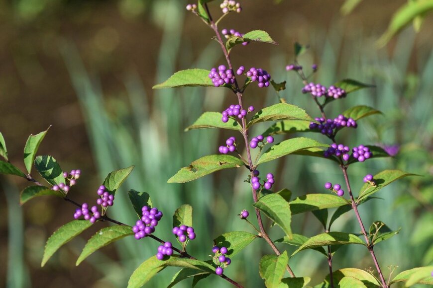 undefined undefined/istockphoto.com