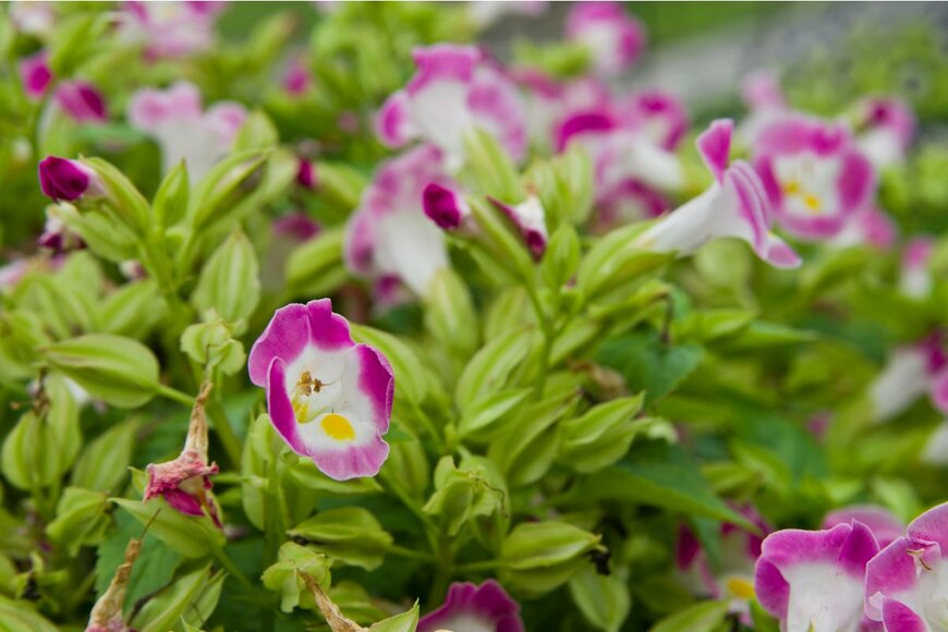 zzz555zzz/Shutterstock.com