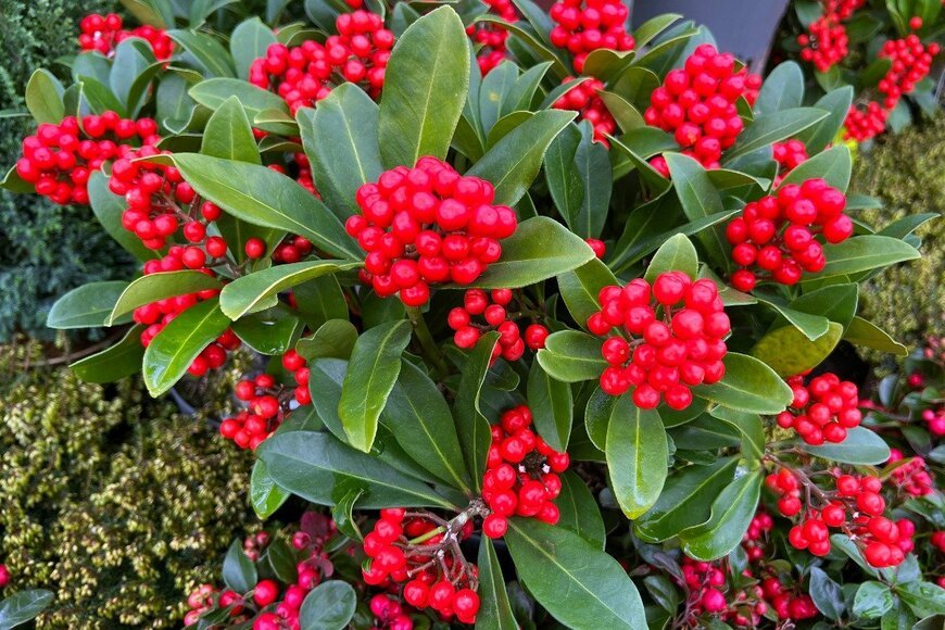 emer1940/istockphoto.com