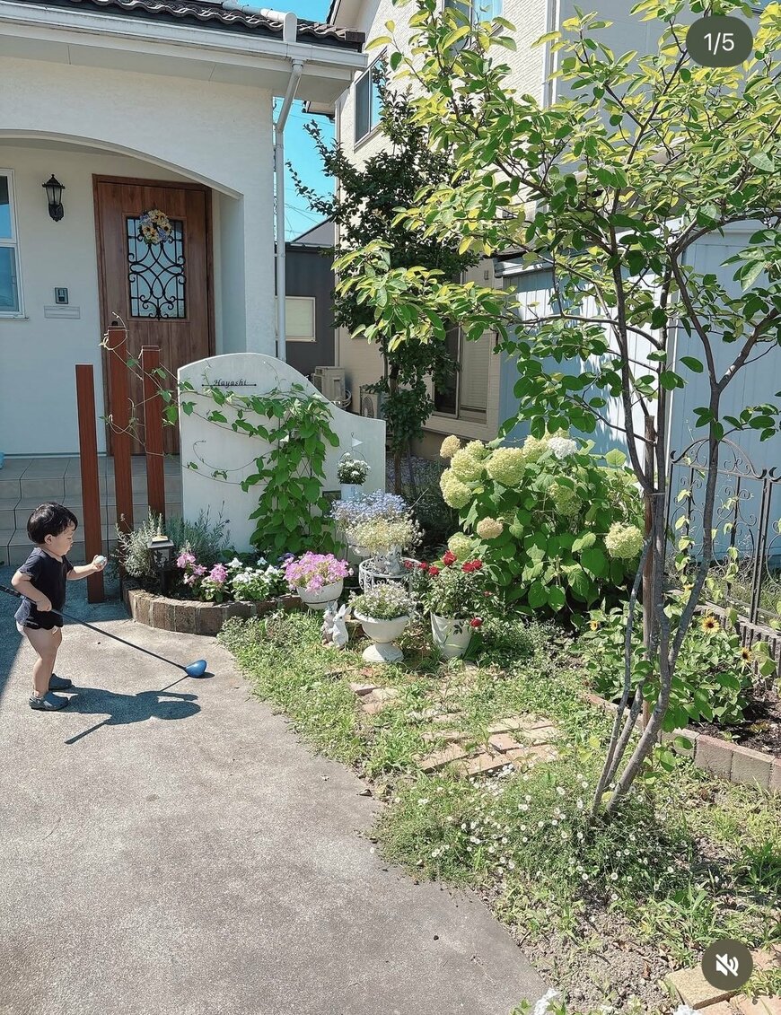 小さなお庭＆北向きでもお花いっぱい。「ひまわり」や夏の草花が咲く美しい庭を紹介。まるで絵本の世界のような素敵な雰囲気にうっとりです