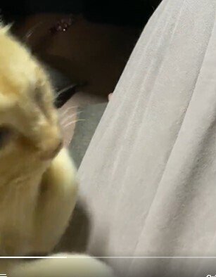 出所：@luna7taka9