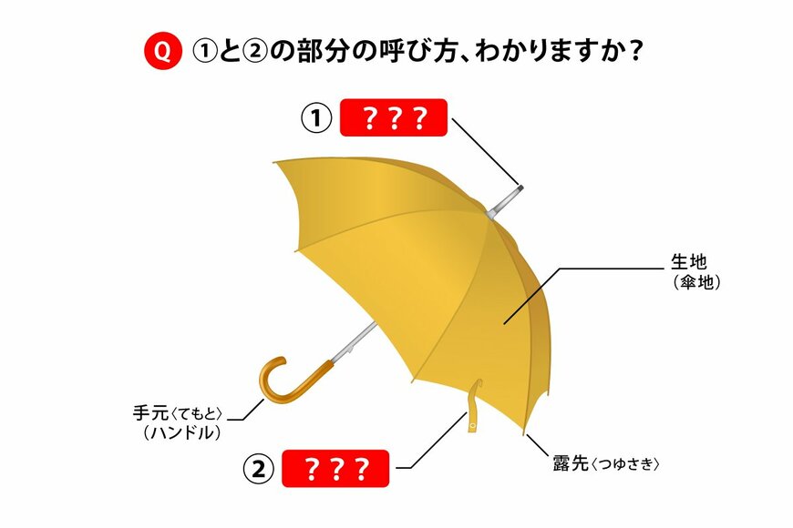 意外と知らない、傘の「あの部分」の名前は何という？